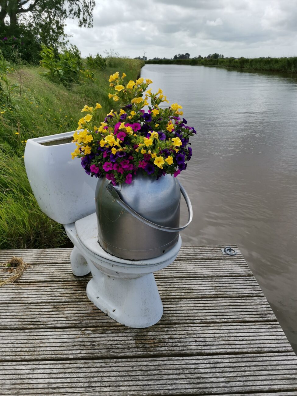 Auf Steg steht WC Schüssel mit Blumen darauf