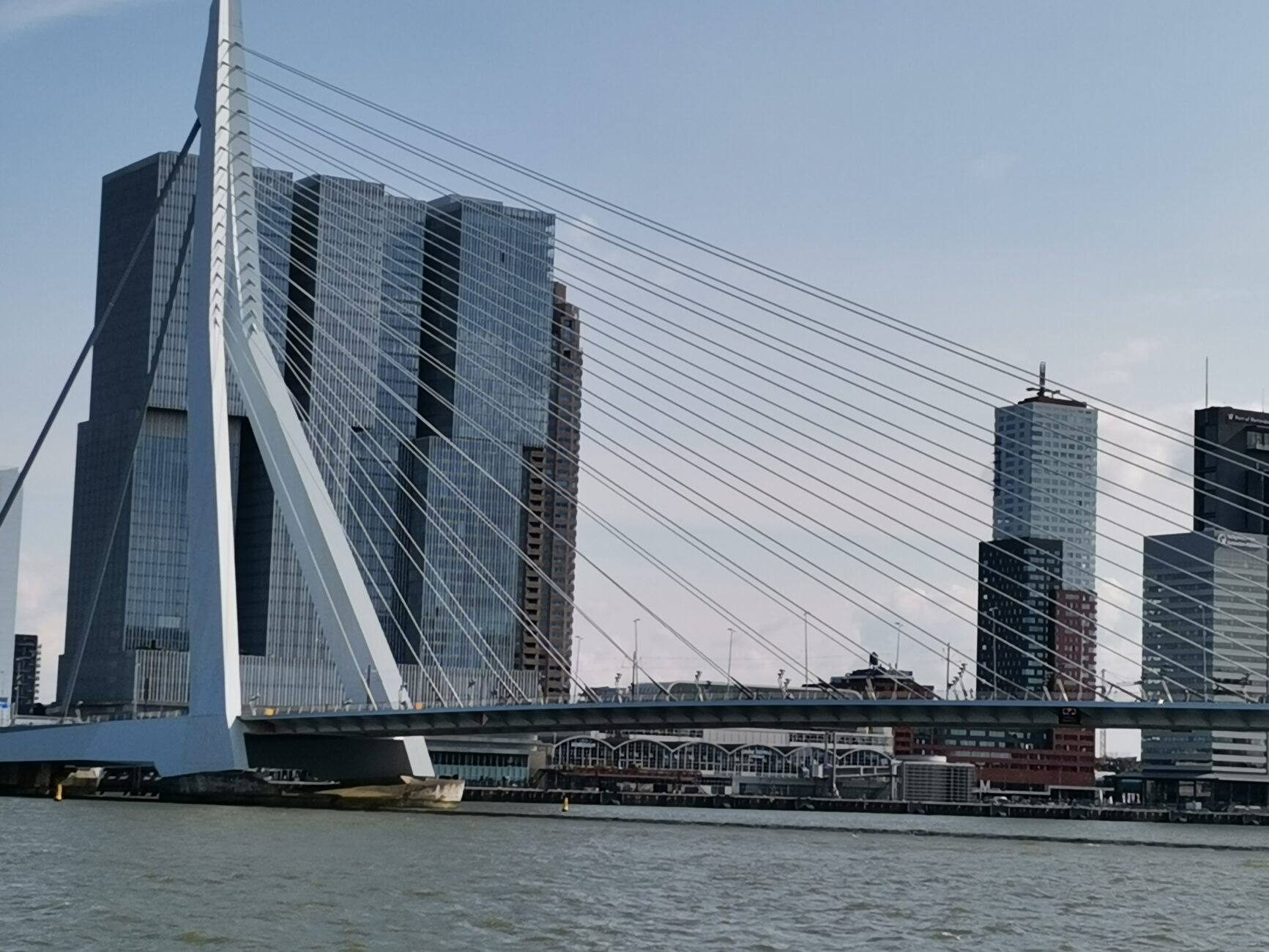 Erasmusbrücke Rotterdam